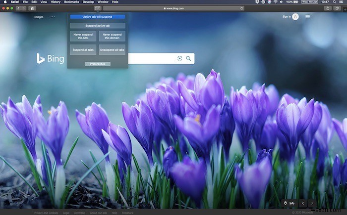 macOS 사용자가 꼭 설치해야 할 최고의 Safari 확장 프로그램 8선