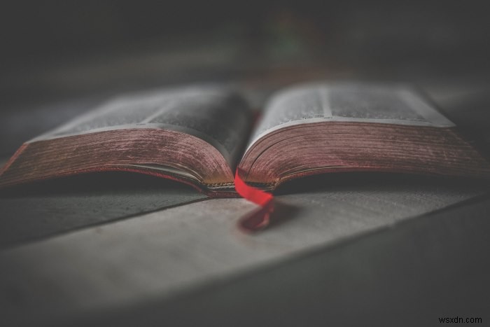로렘 입숨(Lorem Ipsum)이란? 웹 디자인에서 가짜 텍스트를 쓰는 이유