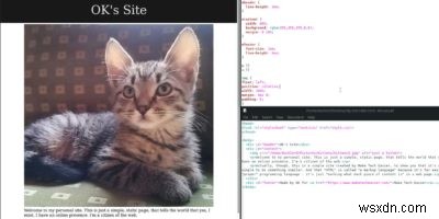 HTML과 CSS 초보자 가이드: 나만의 첫 웹페이지 만들기