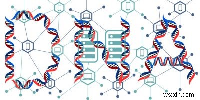 유전자 데이터를 철저히 보호하는 블록체인 DNA 검사 기업들