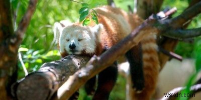 퍼스트 파티 아이솔레이션(FPI)이란? Firefox에서 활성화하는 방법