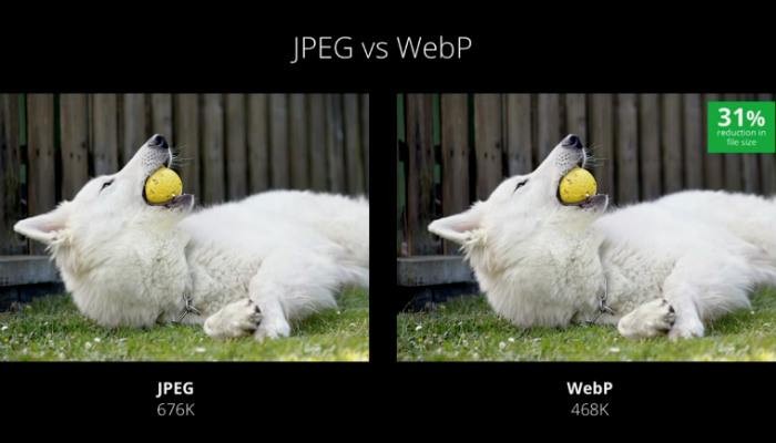 WebP 이미지란 무엇이고, JPEG·PNG로 저장하는 방법은?