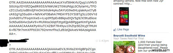 토르(Tor) 메신저 시스템 완벽 가이드: 익명 채팅의 모든 것