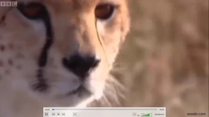VLC 미디어 플레이어로 할 수 있는 7가지 유용한 작업 총정리