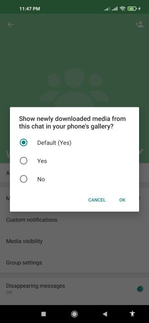 WhatsApp 그룹 생성 및 관리 방법 완벽 가이드