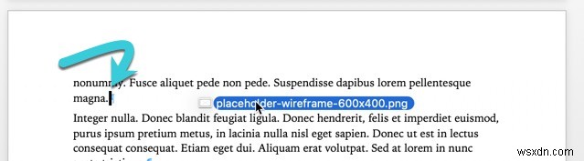 Microsoft Word에서 이미지를 원하는 대로 배치하는 방법