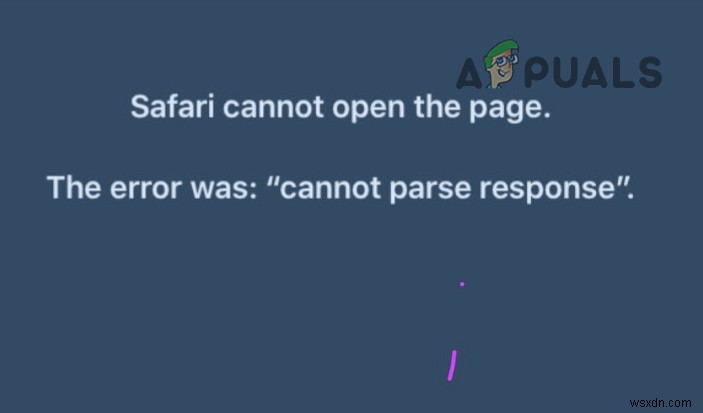 Safari  응답을 구문 분석할 수 없음  오류, 이렇게 해결하세요