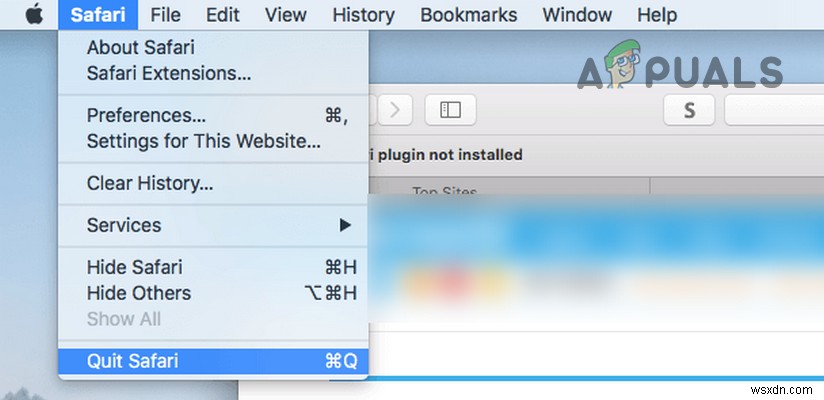 Safari  응답을 구문 분석할 수 없음  오류, 이렇게 해결하세요