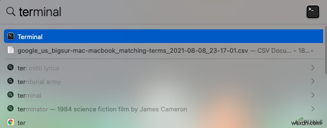 macOS  죄송합니다. 클립보드 조작이 허용되지 않습니다  오류 완벽 해결 가이드