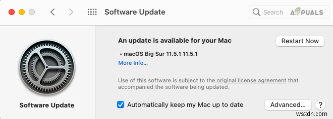 모든 Mac 사용자가 지금 바로 macOS Big Sur 11.5.1로 업데이트해야 하는 이유