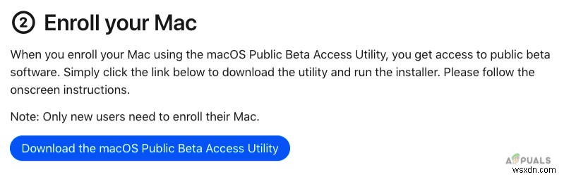 macOS Monterey 베타 버전 설치 방법 완벽 가이드