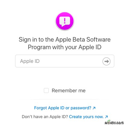macOS Monterey 베타 버전 설치 방법 완벽 가이드
