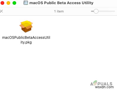 macOS Monterey 베타 버전 설치 방법 완벽 가이드
