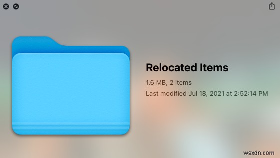 macOS Catalina  재배치된 항목  폴더란? 정체부터 안전하게 삭제하는 방법까지