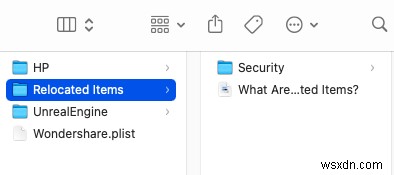 macOS Catalina  재배치된 항목  폴더란? 정체부터 안전하게 삭제하는 방법까지