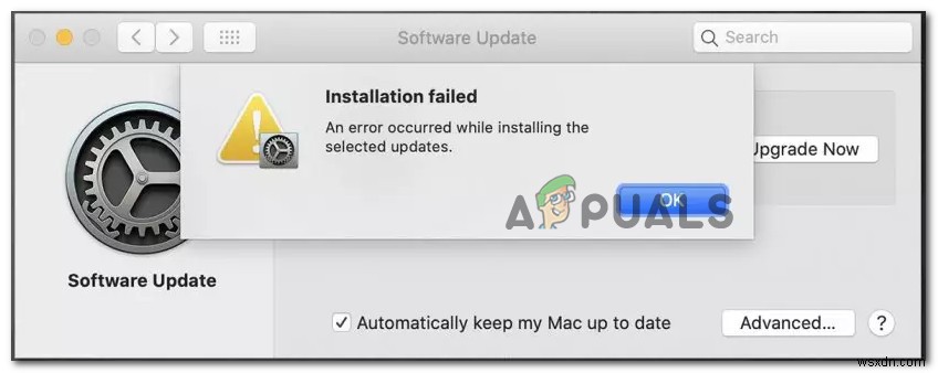 macOS  업데이트 다운로드 중 오류가 발생했습니다  오류 해결 방법 총정리