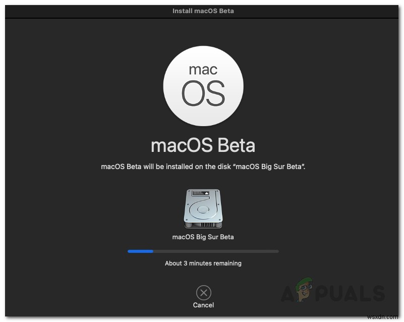 macOS 빅서(Big Sur) 공개 베타 설치 방법 총정리