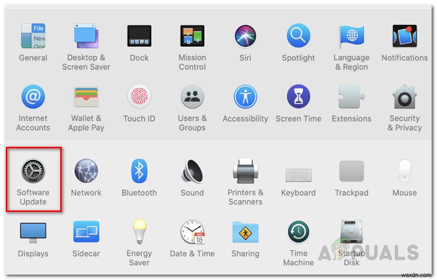 macOS 빅서(Big Sur) 공개 베타 설치 방법 총정리