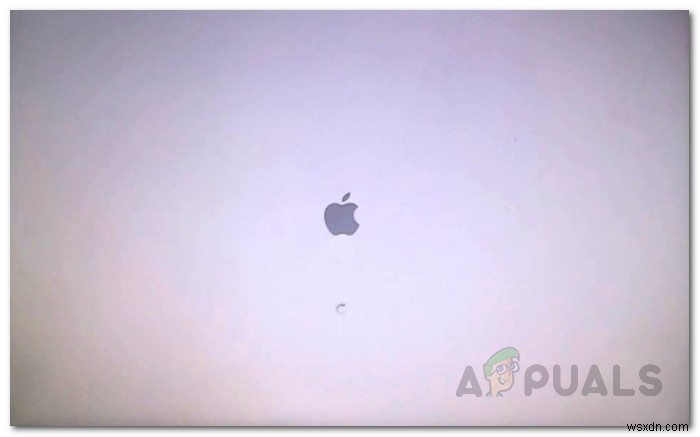 Mac 부팅 시 흰 화면에서 멈추는 문제, 원인과 해결 방법 총정리
