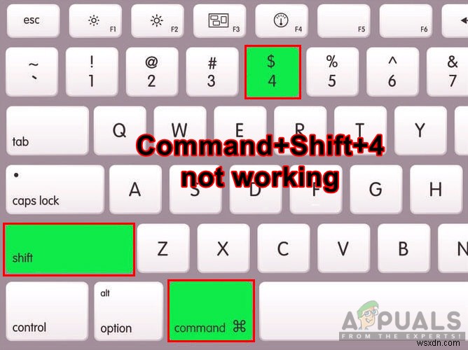macOS에서 Command + Shift + 4 스크린샷 단축키가 작동하지 않을 때 해결 방법