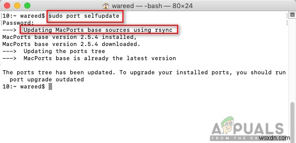 macOS에서 sudo: apt-get: command not found 오류 해결 방법