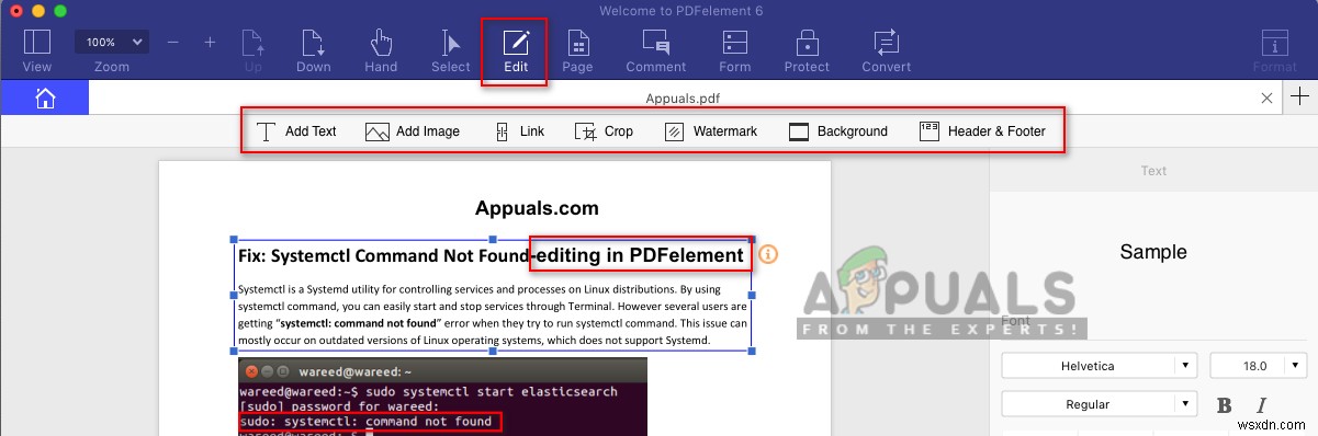 macOS에서 PDF 파일을 편집하는 4가지 방법 완벽 가이드