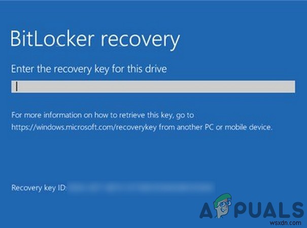 BitLocker 복구 키를 찾을 수 없을 때 해결하는 방법