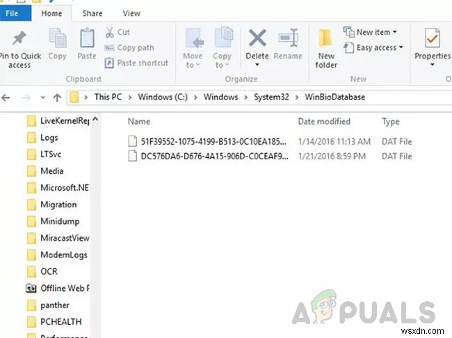 [해결 방법] Windows Hello 호환 카메라를 찾을 수 없음 오류 수정하기