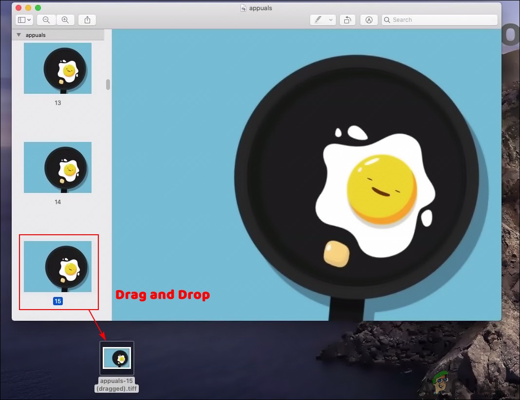 GIF를 PNG로 변환하는 3가지 방법 (온라인 사이트·포토샵·macOS)