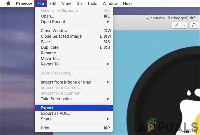 GIF를 PNG로 변환하는 3가지 방법 (온라인 사이트·포토샵·macOS)