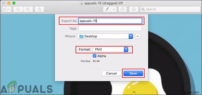 GIF를 PNG로 변환하는 3가지 방법 (온라인 사이트·포토샵·macOS)
