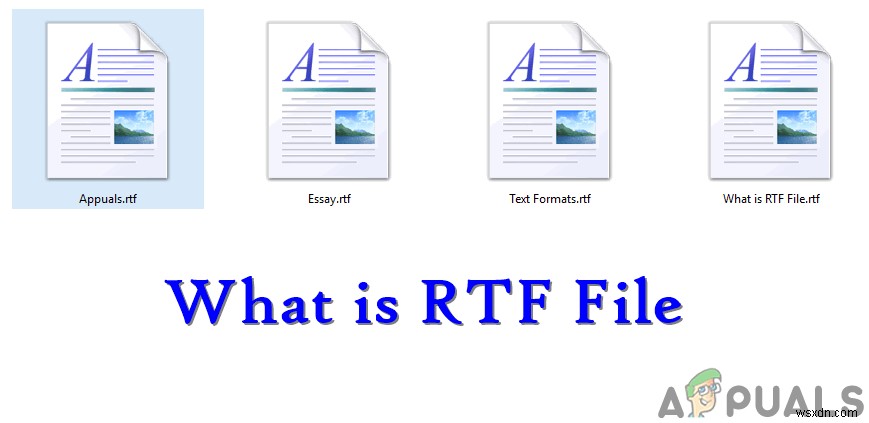 RTF(.rtf) 파일이란? 다른 텍스트 형식과의 차이점 완벽 정리