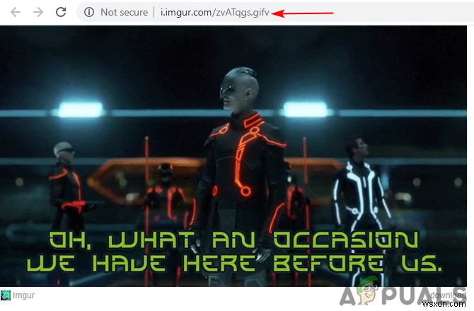 GIFV란 무엇일까? GIFV 파일을 GIF로 저장하는 완벽 가이드