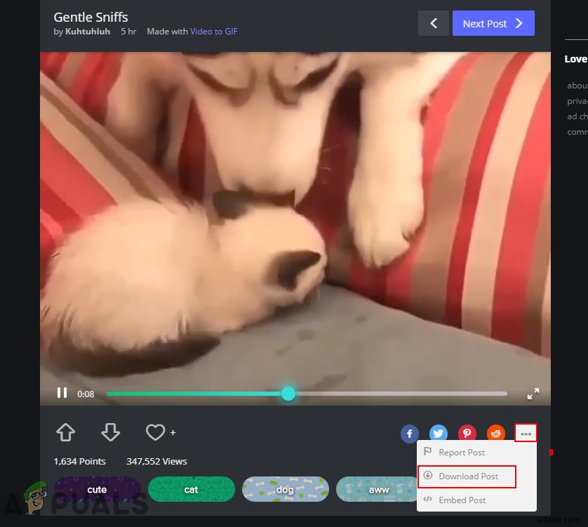GIFV란 무엇일까? GIFV 파일을 GIF로 저장하는 완벽 가이드