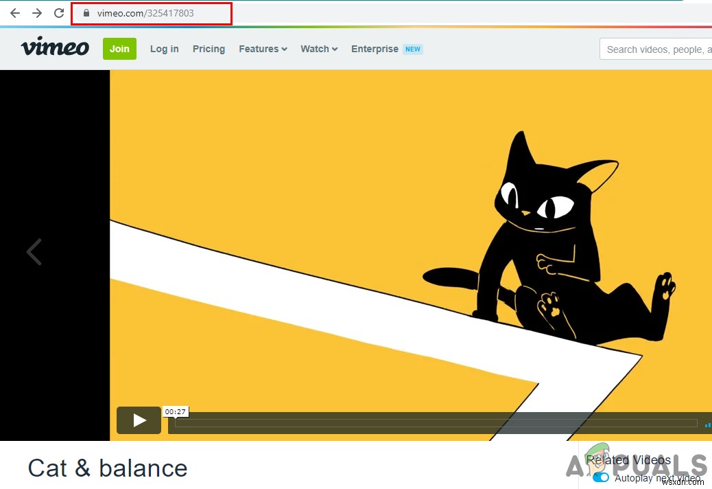 Vimeo 동영상 다운로드 방법 완벽 가이드: PC부터 안드로이드·아이폰까지