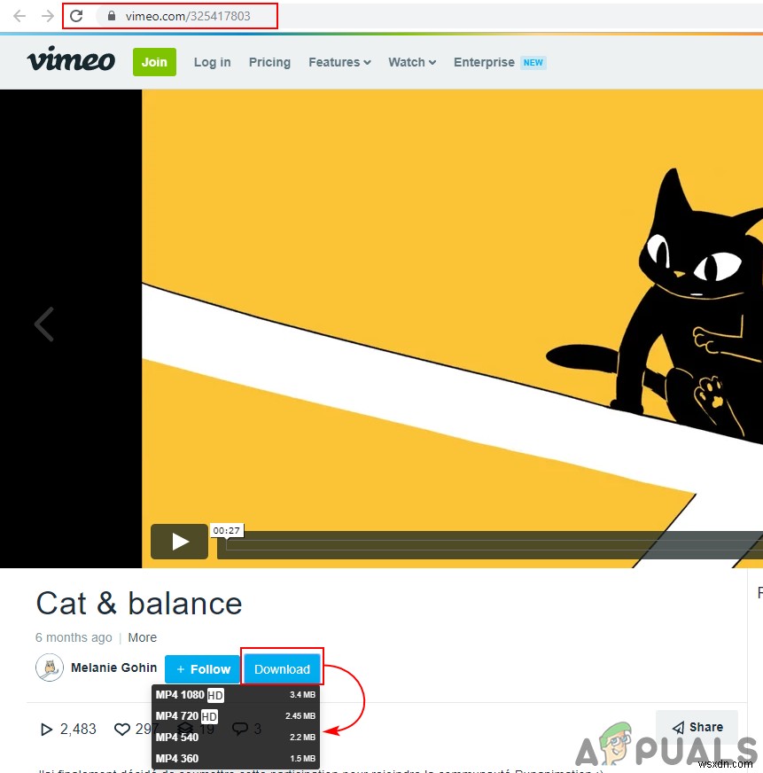 Vimeo 동영상 다운로드 방법 완벽 가이드: PC부터 안드로이드·아이폰까지