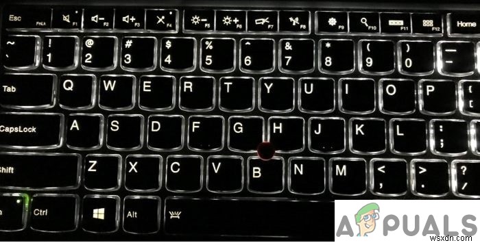 맥(Mac)·윈도우(Windows) 키보드 백라이트가 작동하지 않을 때 해결 방법