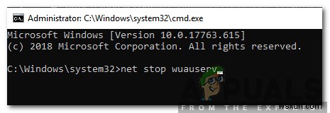 Windows  NET HELPMSG 2182  오류 완벽 해결 가이드