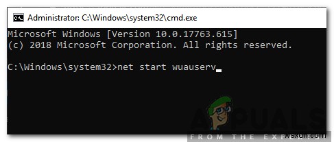 Windows  NET HELPMSG 2182  오류 완벽 해결 가이드