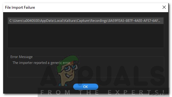 Adobe Premiere Pro 가져오기 도구에서 일반 오류가 보고되었습니다 오류 해결 방법