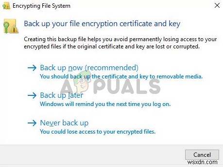 Windows 10에서 EFS(암호화 파일 시스템) 팝업이 계속 뜨는 이유와 해결 방법