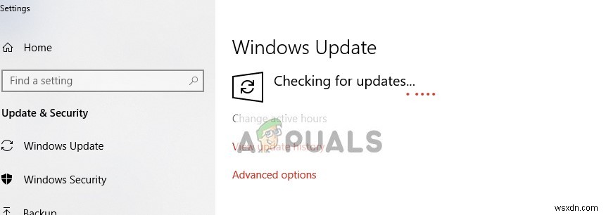 Windows 10에서 JPEG 파일이 열리지 않을 때? 원인과 해결 방법 총정리