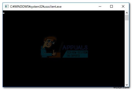 usoclient.exe란? Windows 10 CMD 팝업 원인과 비활성화 방법 총정리