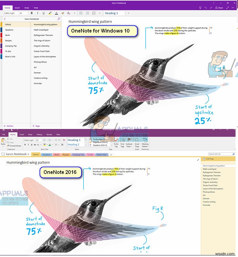 OneNote 대신 OneNote 2016을 설치하는 방법
