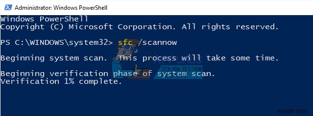 SearchProtocolHost.exe CPU 사용량 급증 문제 해결 방법 총정리