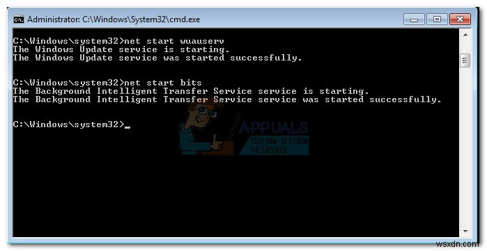 DataStore.edb란? PC 속도를 저하시키는 원인과 해결 방법 총정리