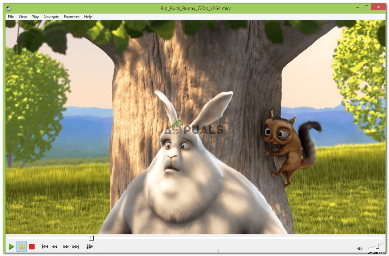 Windows Media Player에서 .mov 파일이 재생되지 않을 때 해결 방법