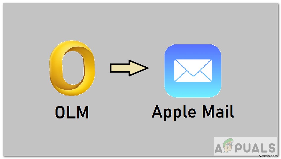Apple Mail로 OLM 파일 가져오는 방법 총정리