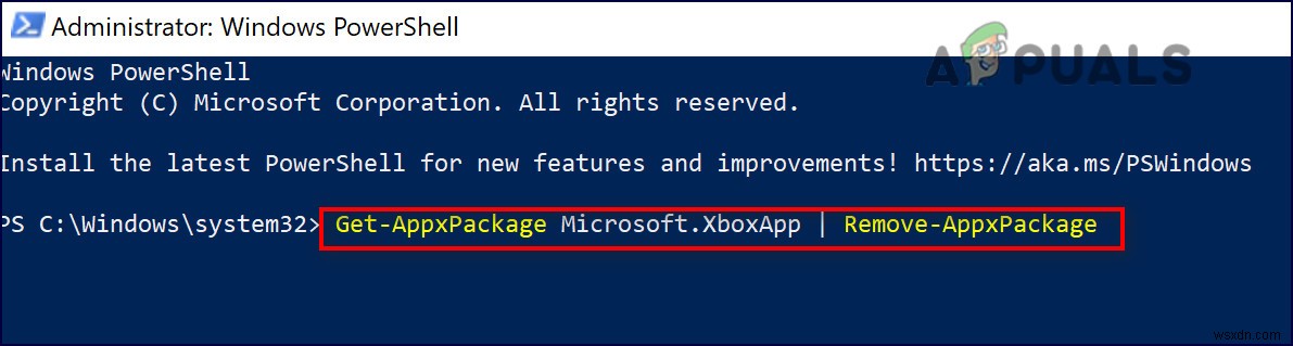 Windows에서 Microsoft Store 오류 코드 0x80242020 해결하는 완벽 가이드