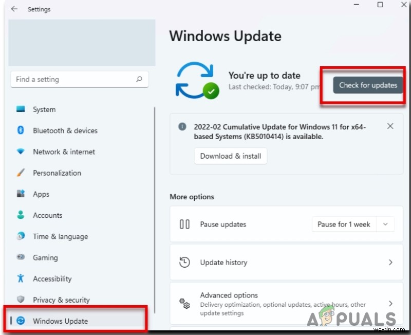 Microsoft Store 오류 코드 0x80072f8f 해결 방법 총정리